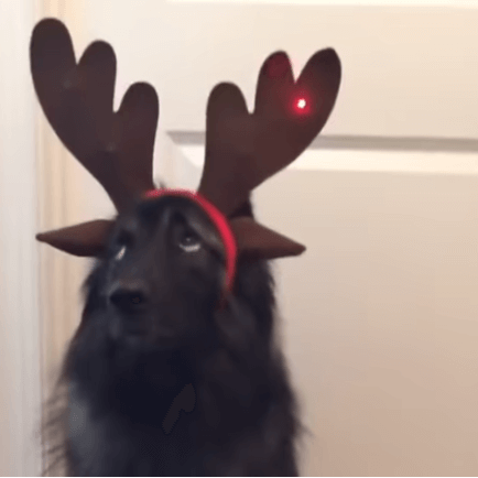 reindeer antlers to wear