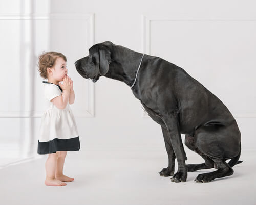 best dogs for small children