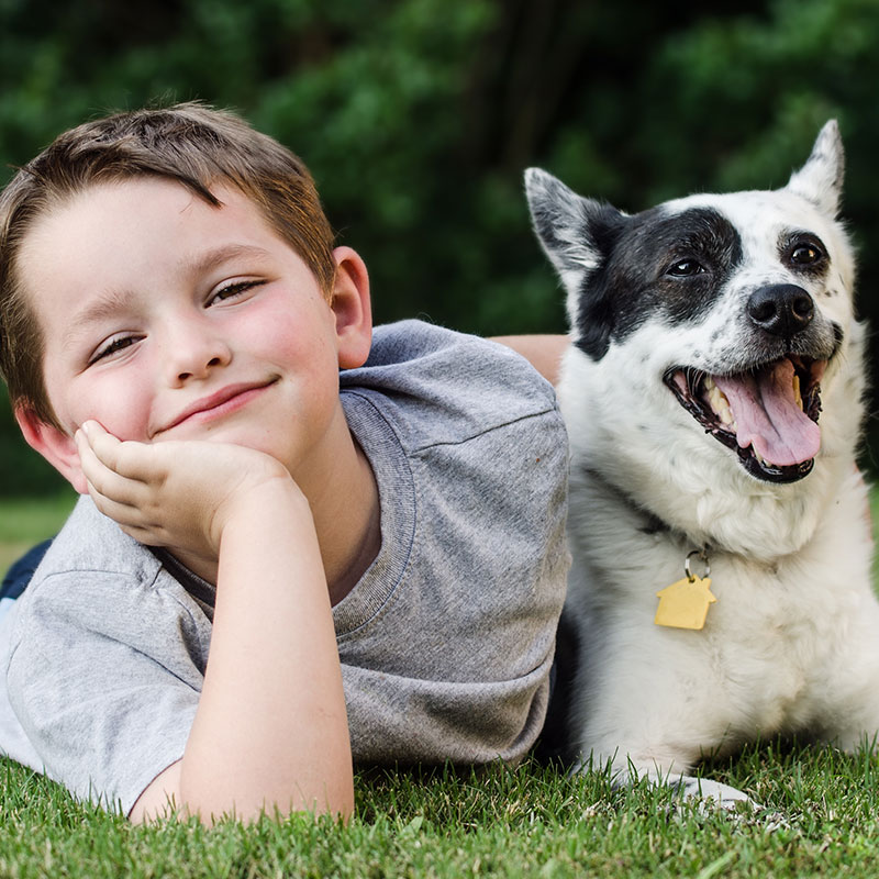 The Wonderful Impact Pets Have On Children With Autism | BaxterBoo