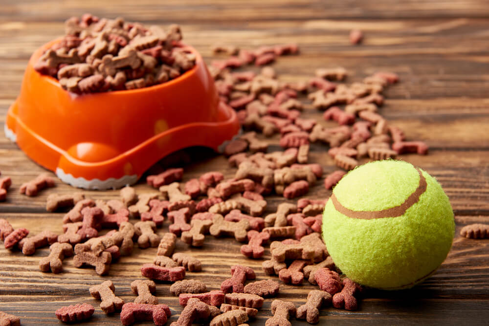 A close up of nutritious dog food that can help when Australian Shepherds shed.