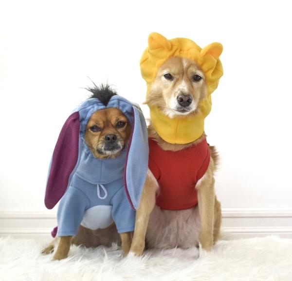 roo costume winnie pooh