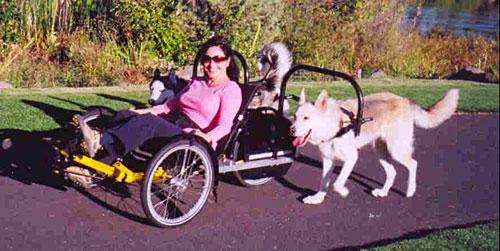 dog powered trike