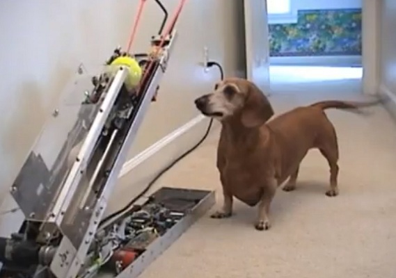 dog fetch machine
