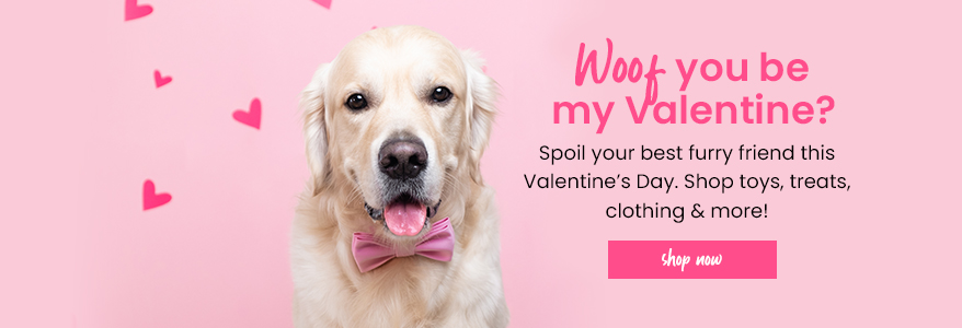 Woof you be my Valentine?