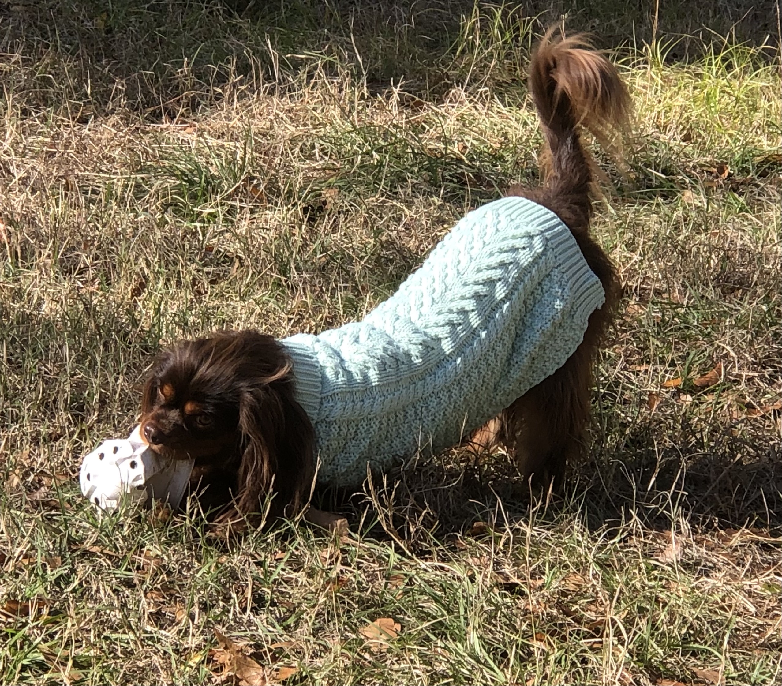 fabdog Chunky Turtleneck Dog Sweater - Mint - Review Image 3