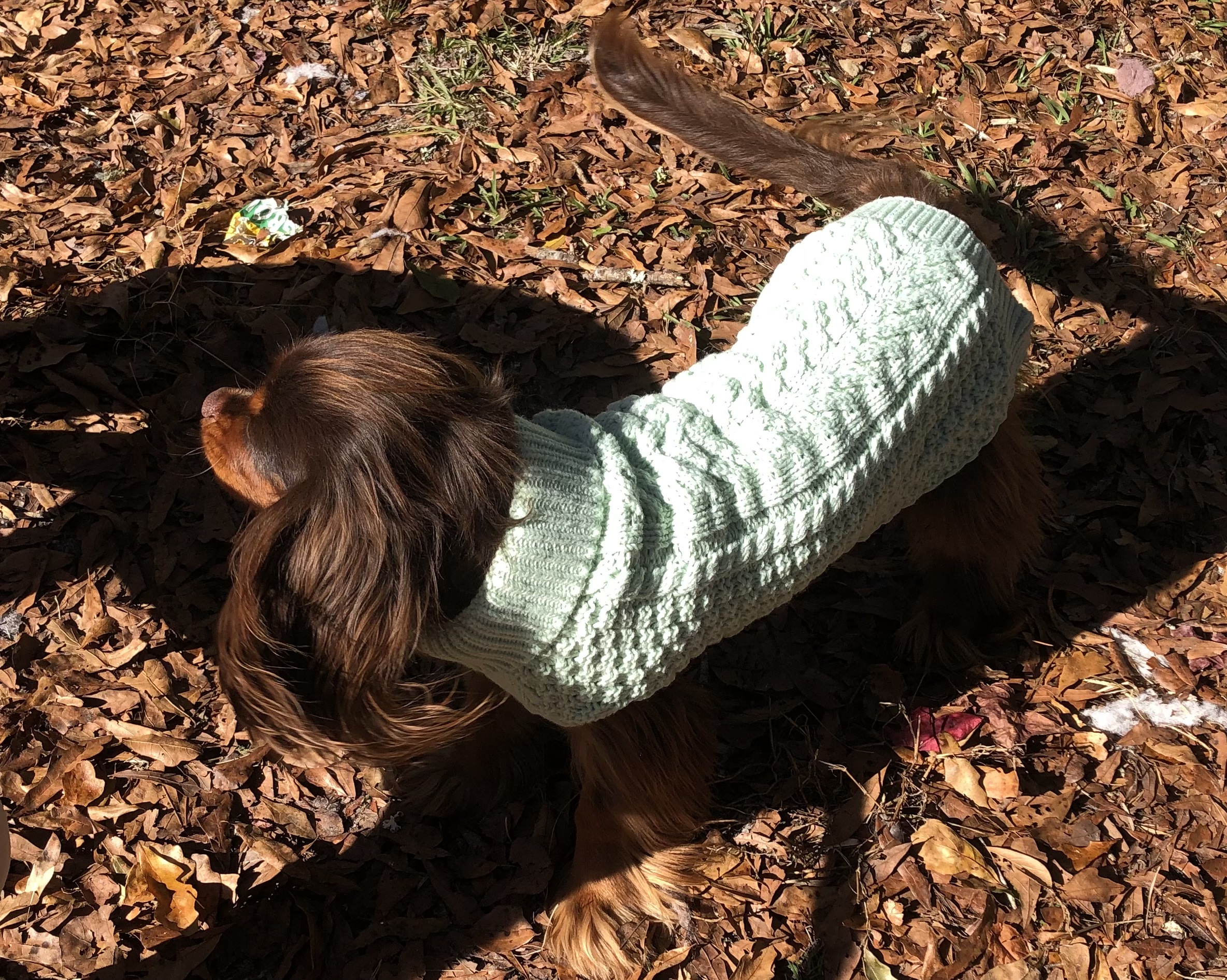 fabdog Chunky Turtleneck Dog Sweater - Mint - Review Image 4