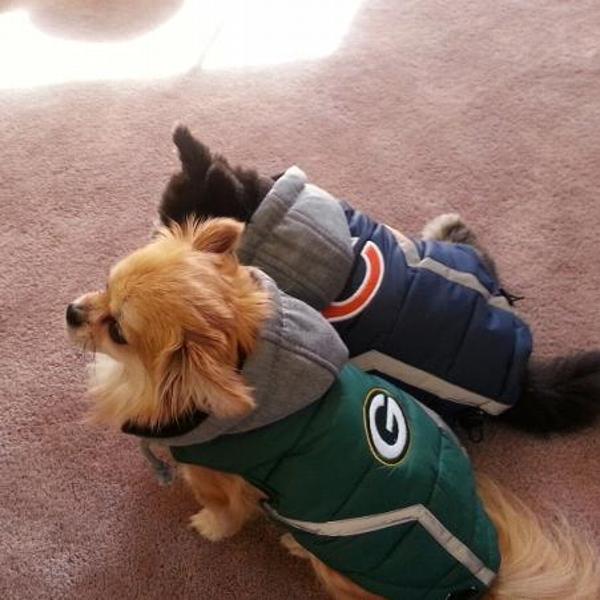 packers dog sweater