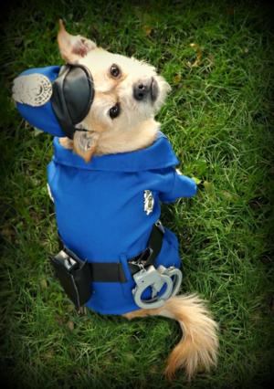 Police Dog Halloween Costume 