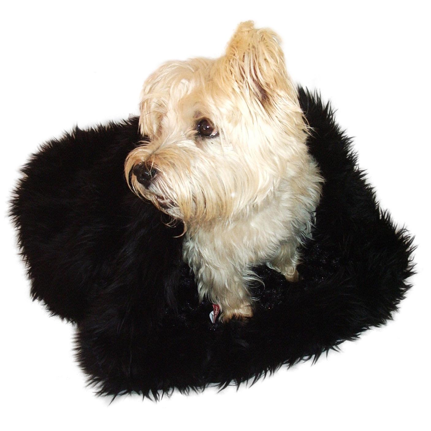 3-in-1 Cozy Dog Cuddle Sack - Black Shag