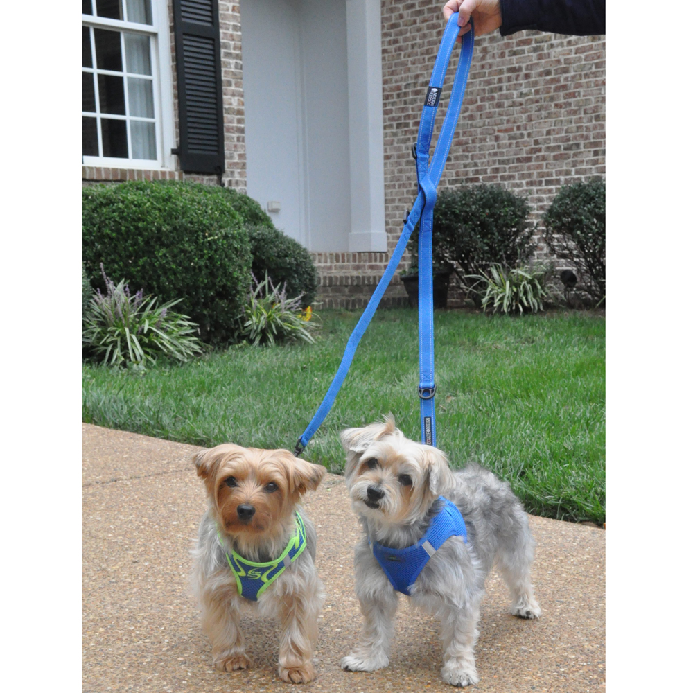 baxter dog leash gm