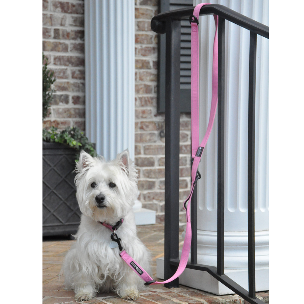 baxter dog leash gm