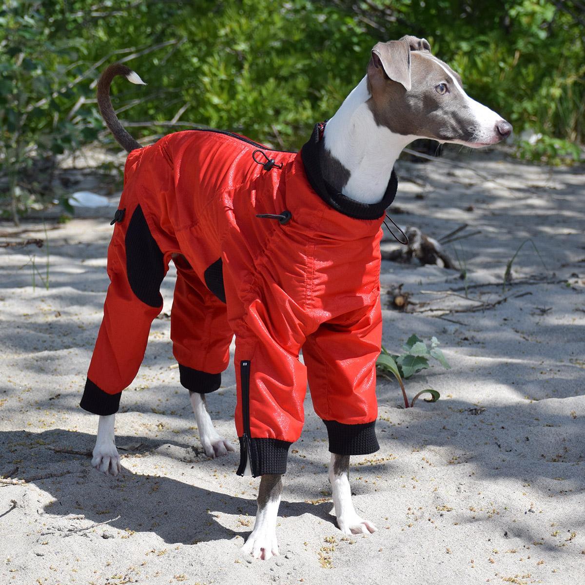 Zippy Dynamics Classy Full-Body Dog Suit