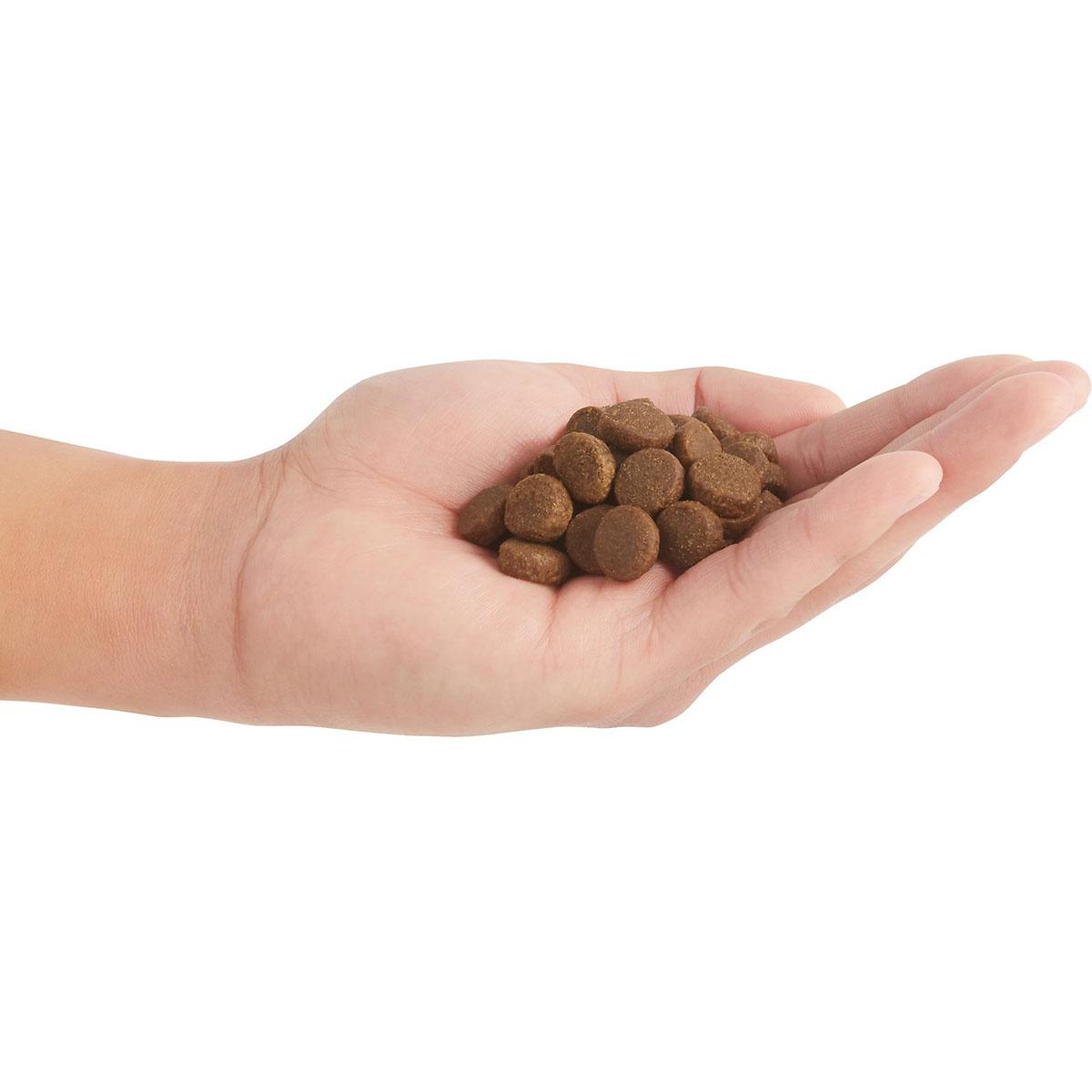Acana Meadowland Grain-Free Dry Dog Food | BaxterBoo