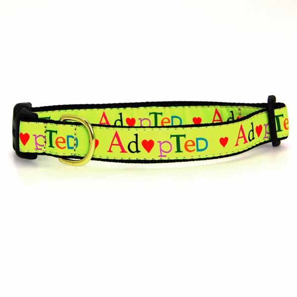 Adopted Dog Collar by Up Country with Same Day Shipping BaxterBoo