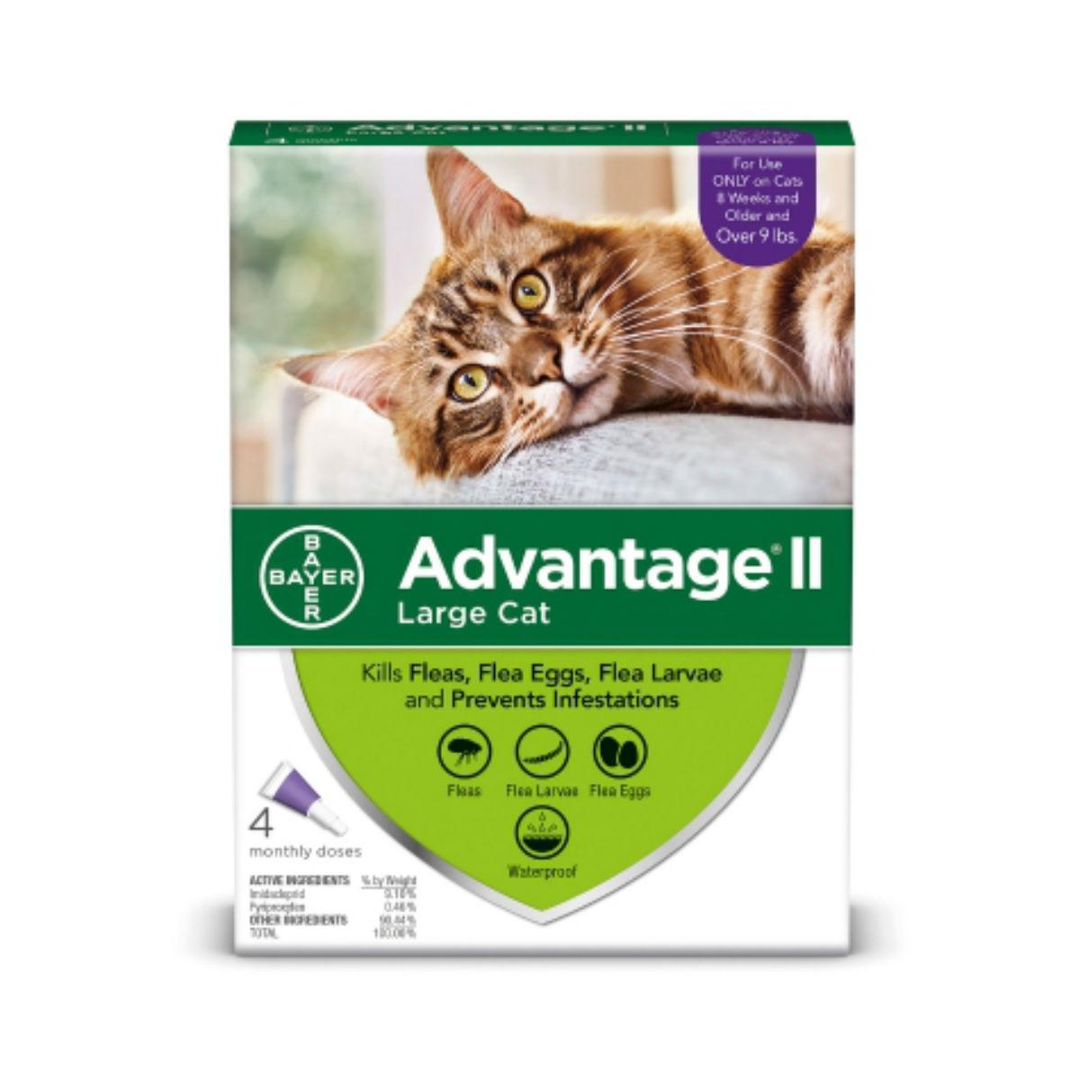 advantage-2-flea-control-cat-treatment-4-month-supply