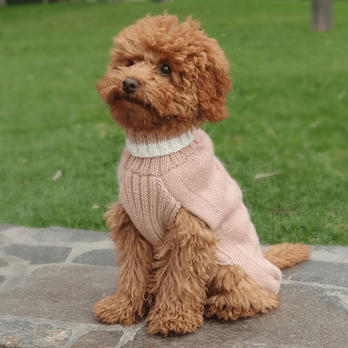 Alqo Wasi Alpaca Dusty Pink Dog Sweater