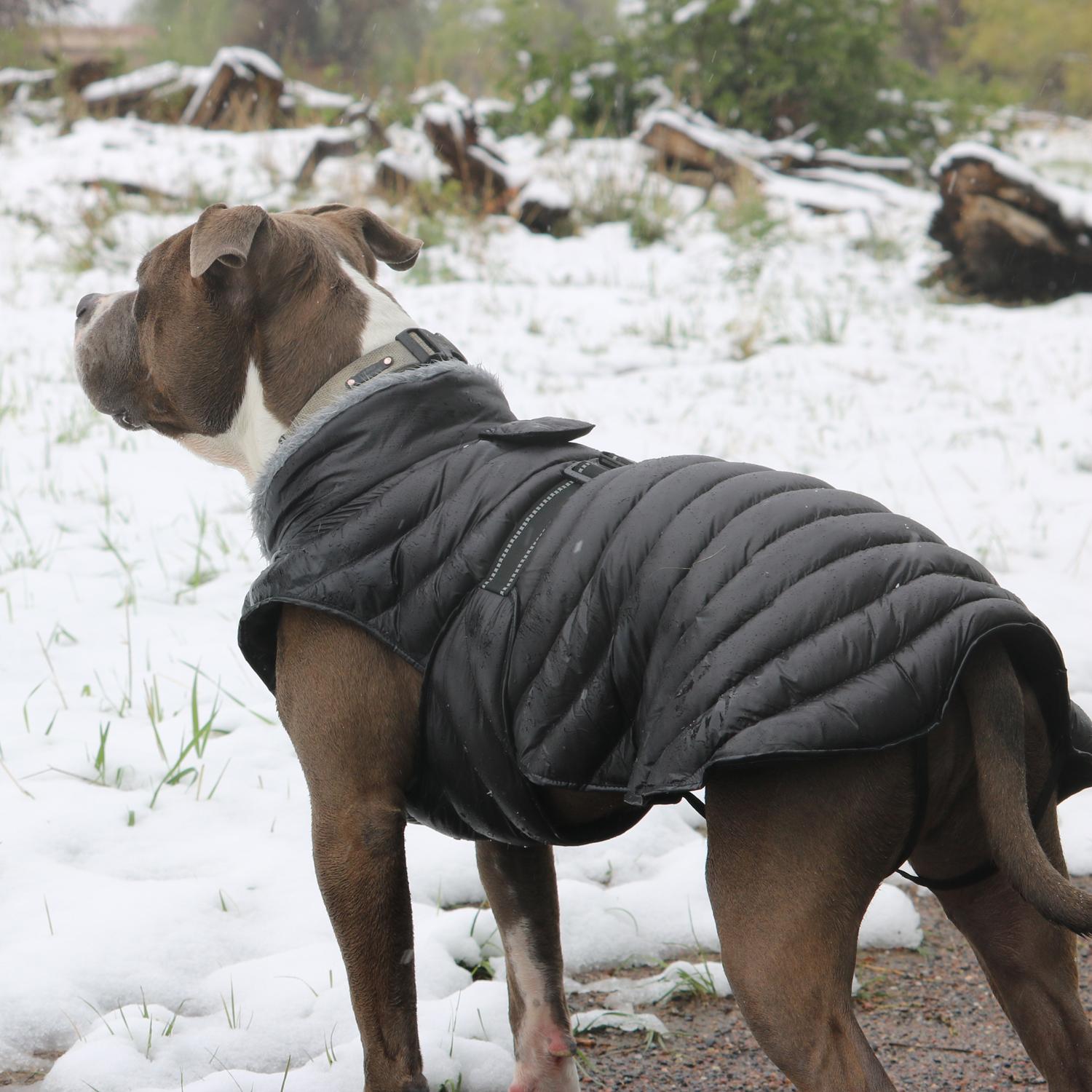 Alpine Extreme Weather Puffer Dog Coat by Doggie Design - Black