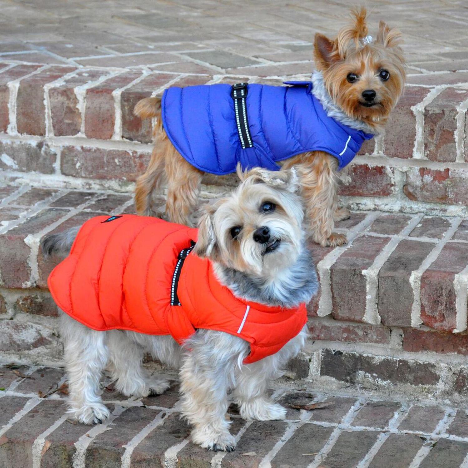Alpine Extreme Weather Puffer Dog Coat by Doggie Design - Orange