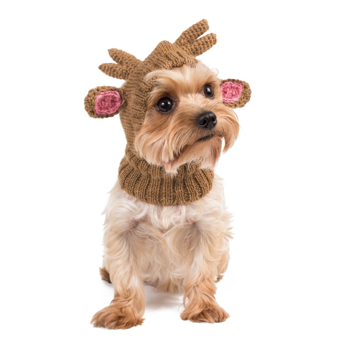 Alqo Wasi Christmas Reindeer Alpaca Winter Dog Hat