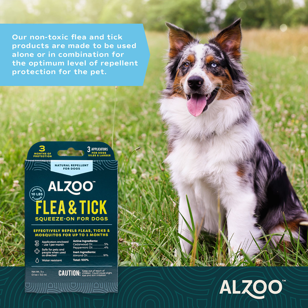 Tick repellent for outlet dogs