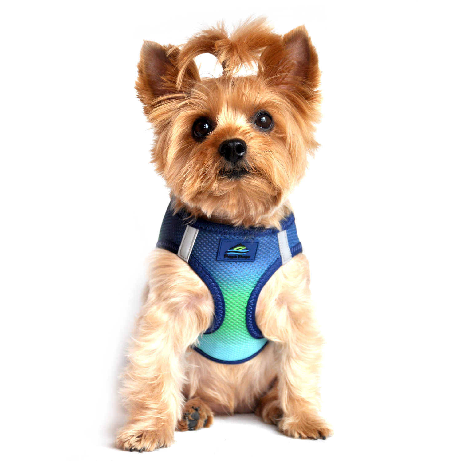 American River Choke-Free Dog Harness by Doggie Design - Northern Lights Ombre