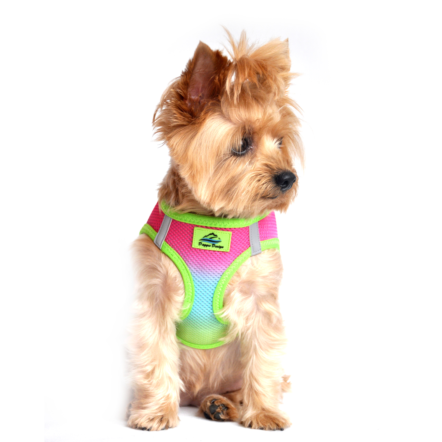 American River Choke-Free Dog Harness by Doggie Design - Rainbow Ombre