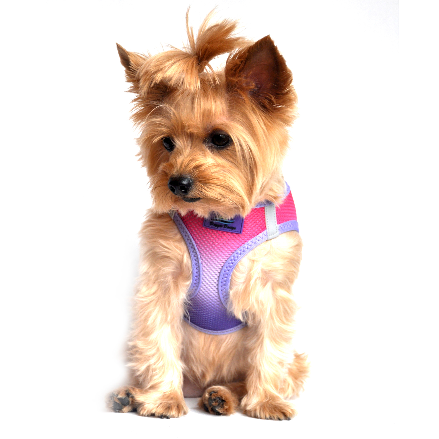 American River Choke-Free Dog Harness by Doggie Design - Raspberry Sundae Ombre