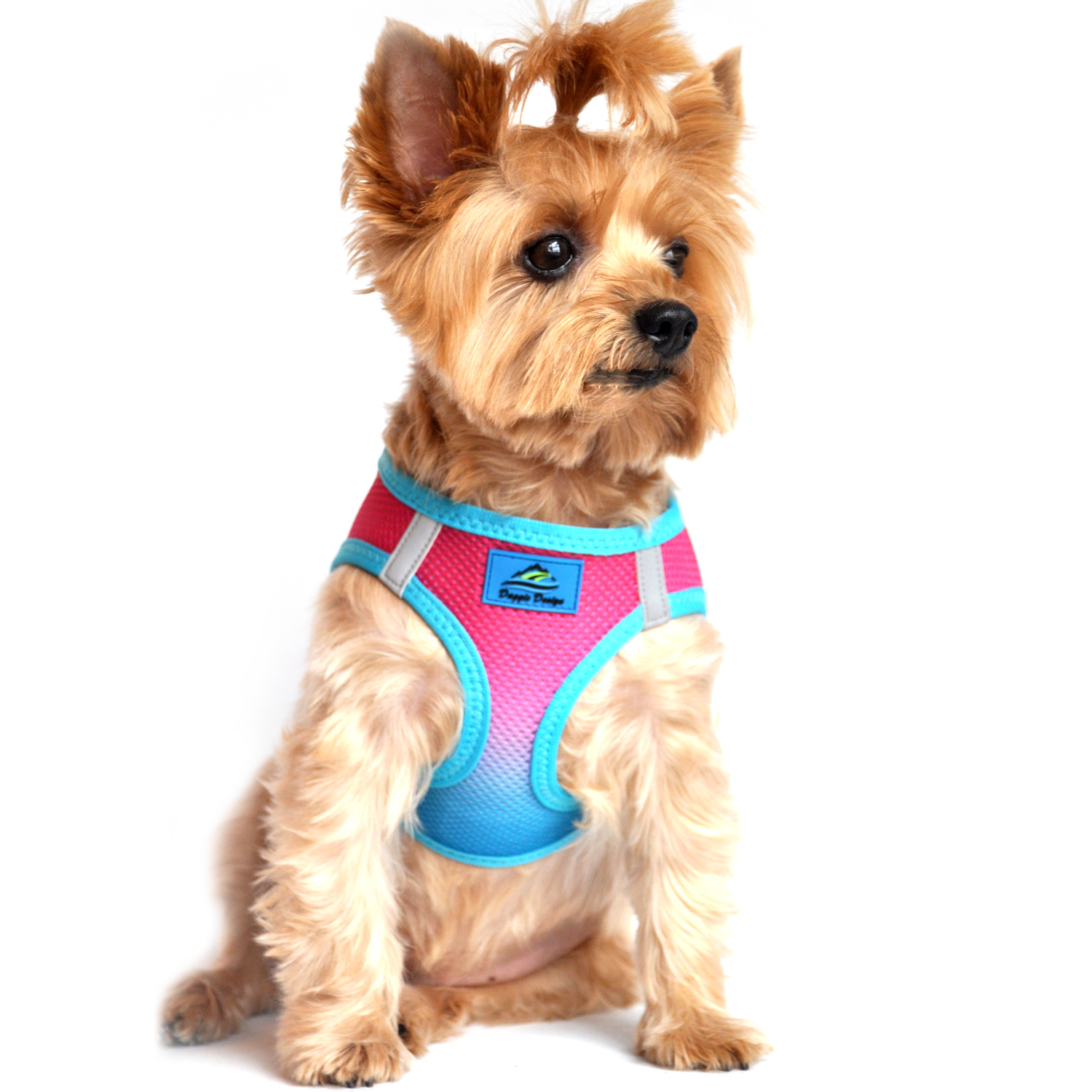 American River Choke-Free Dog Harness by Doggie Design - Sugar Plum Ombre