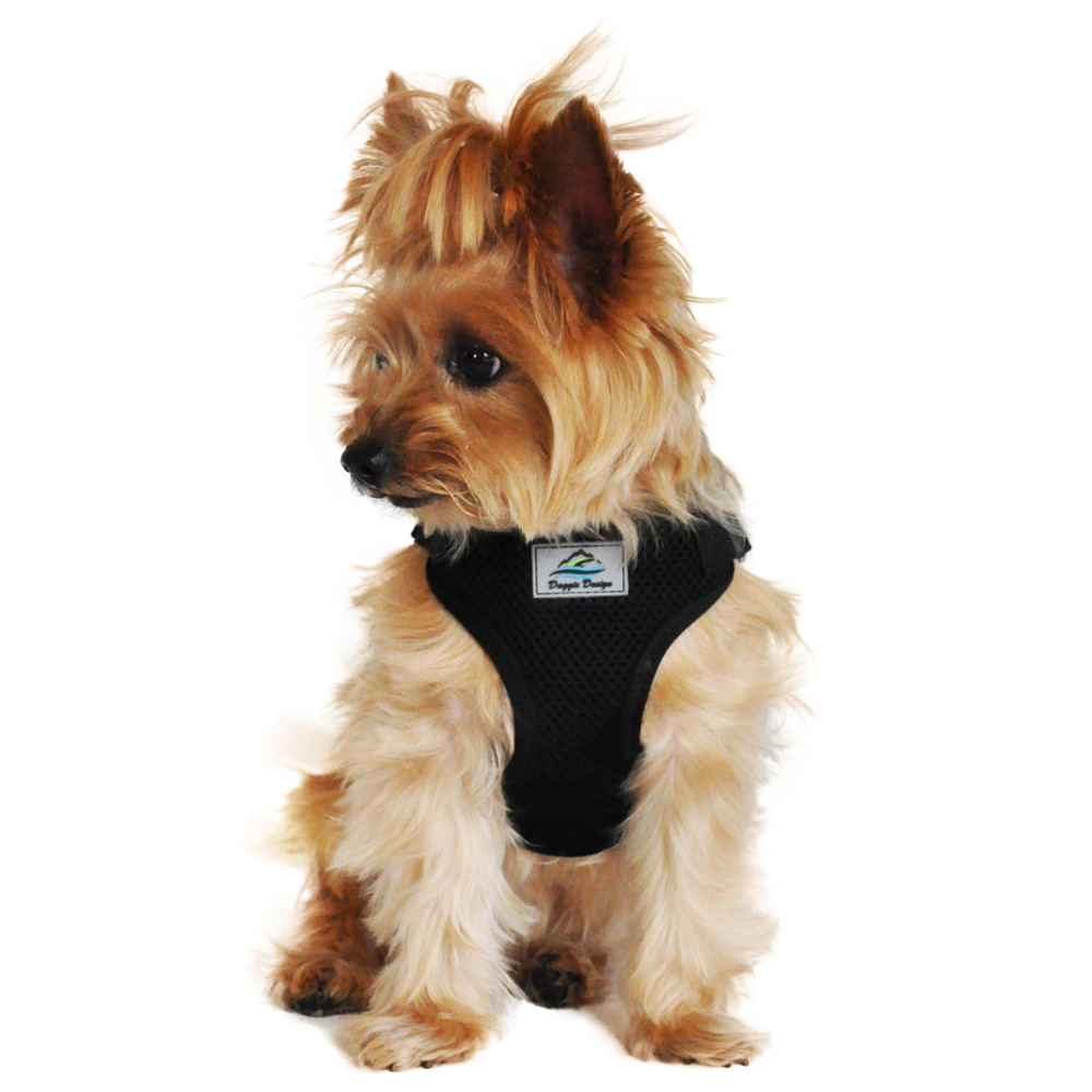 Chewy Classic Designer Harness For Dogs