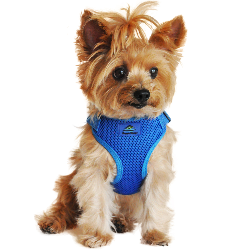 Wrap and Snap Choke Free Dog Harness by Doggi