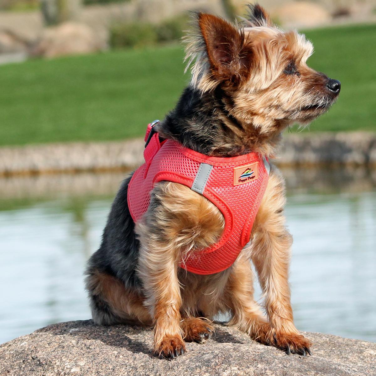 American River Ultra Choke-Free Mesh Dog Harness by Doggie Design - Coral