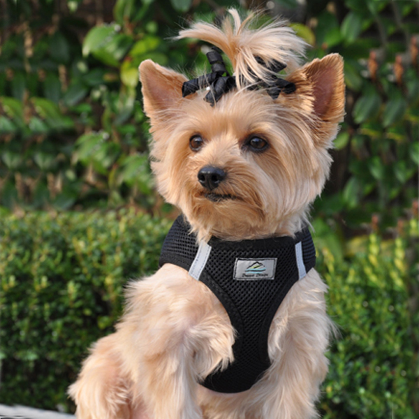 American River Ultra Choke-Free Mesh Dog Harness by Doggie Design - Black