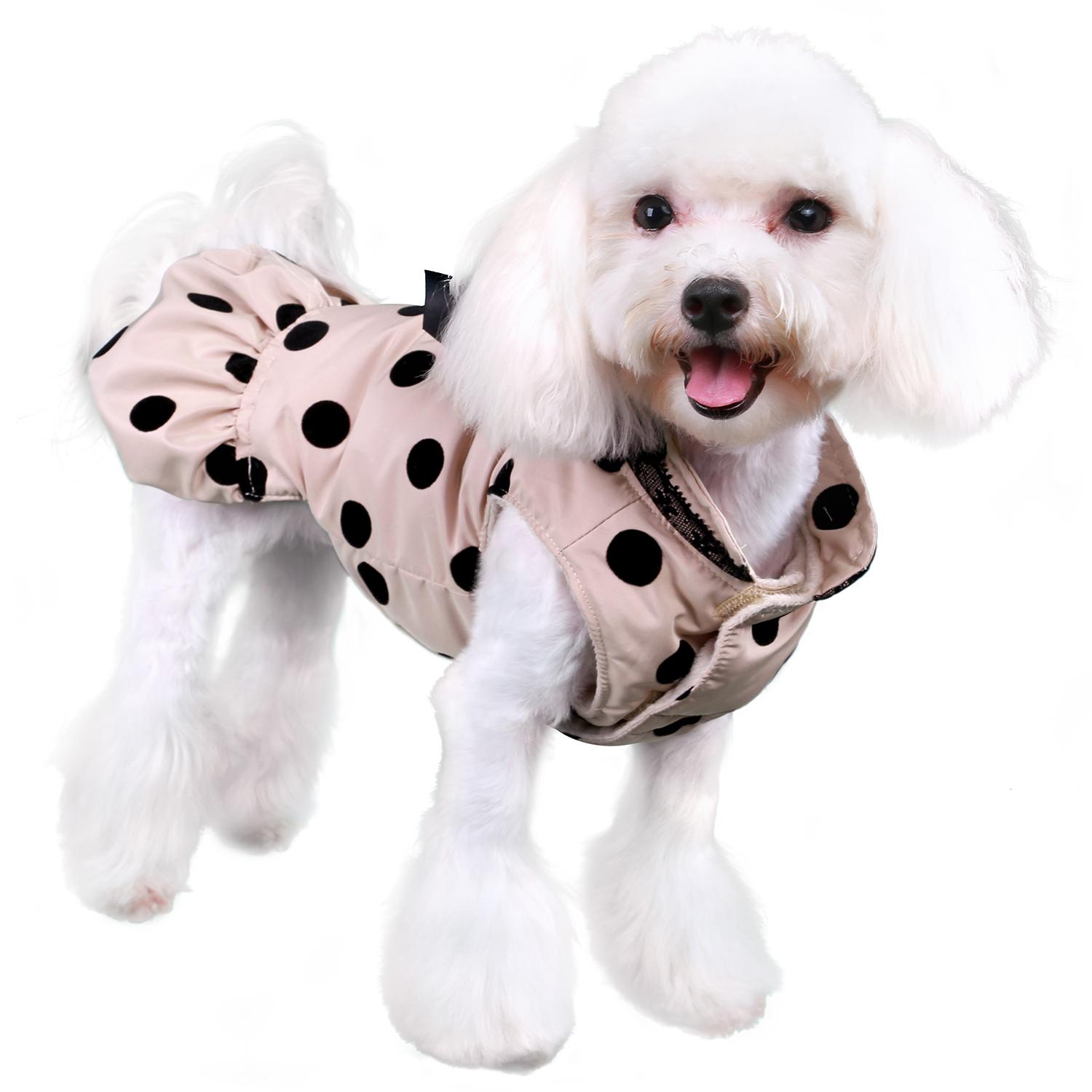 Pooch Outfitters Annie City Dog Coat - Beige | BaxterBoo