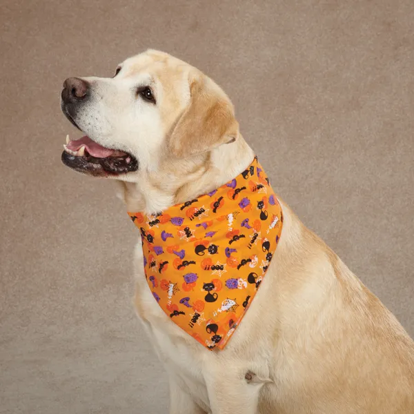 Aria Spooky Dog Bandana - Orange