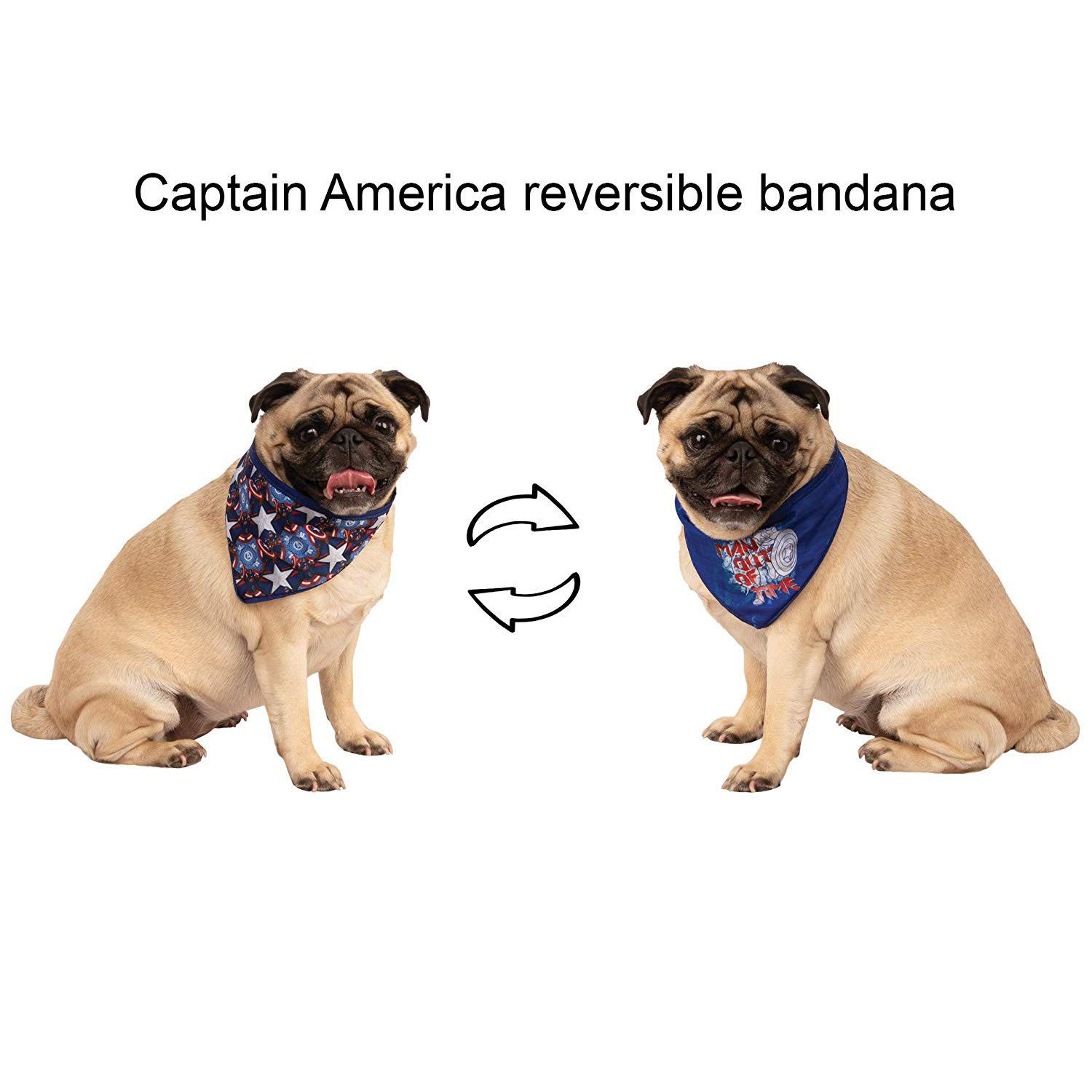 Captain america dog clearance bandana