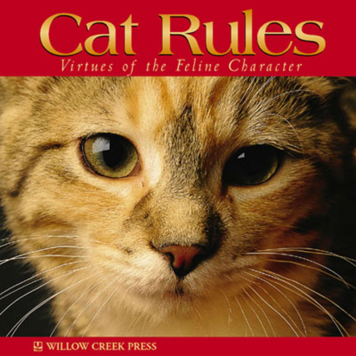 Cat Rules Book for Humans; Virtues of the Feline Character