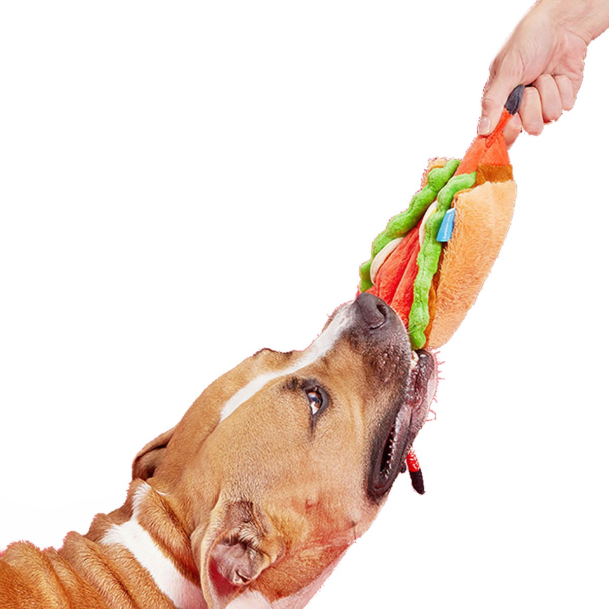 Lobster roll best sale dog toy