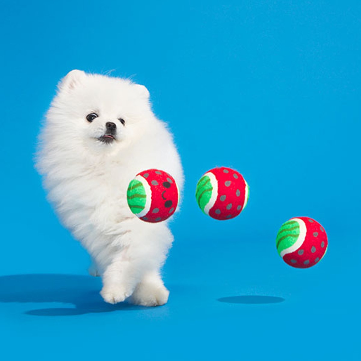 https://images.baxterboo.com/global/images/products/large/bark-watermelon-tennis-balls-dog-toy-3-pack-4676.jpg