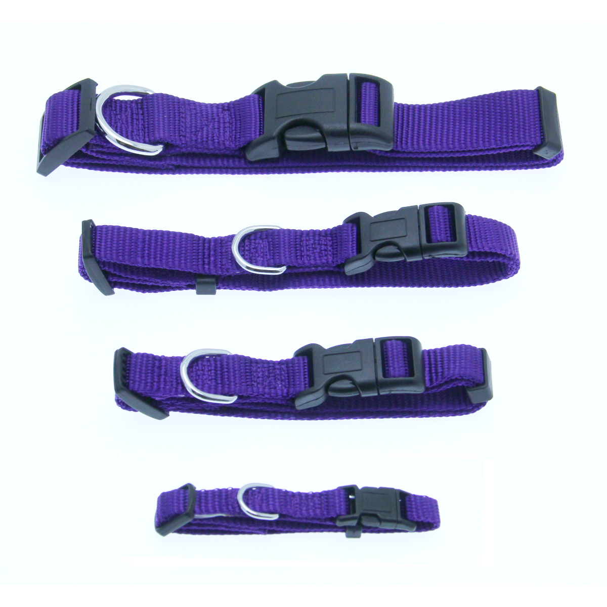 Barking Basics Dog Collar - Purple