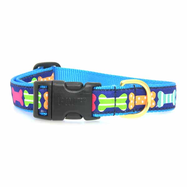 Up Country - Apple of My Eye Small Breed Dog Collar – Up Country Inc
