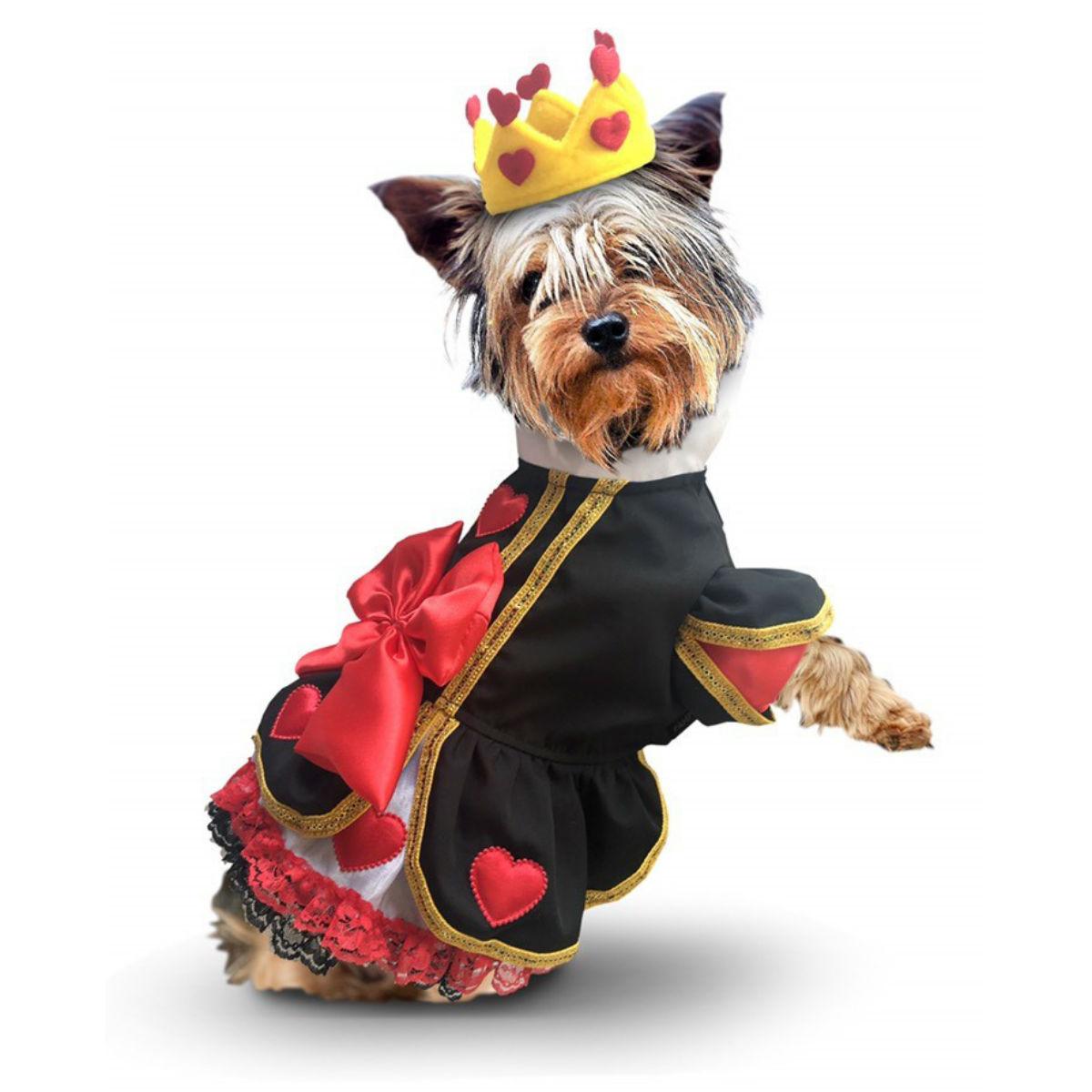 Puppe Love Big Bow and Hearts Dress Halloween Dog Costume