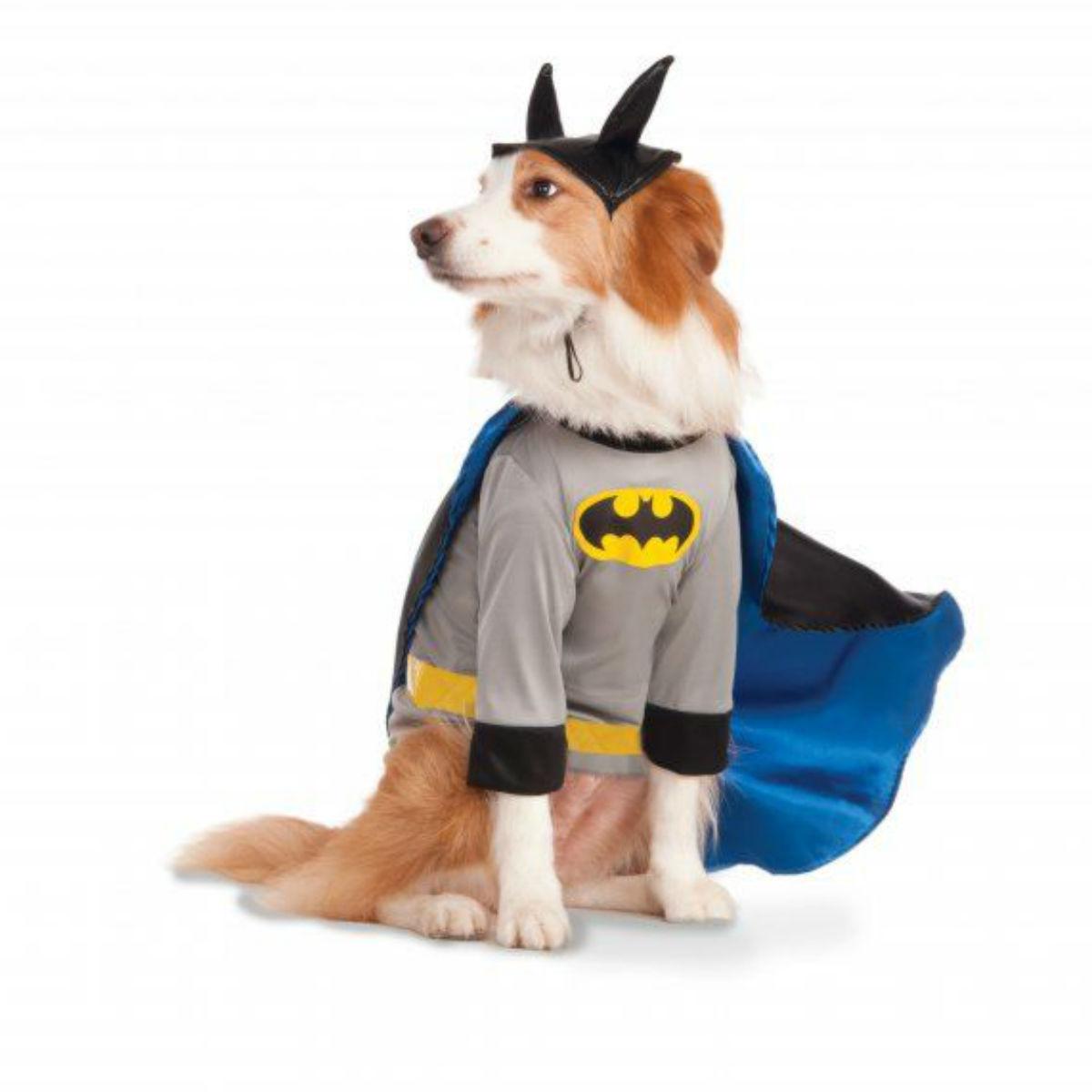Big Dog DC Batman Dog Halloween Costume by Rubies