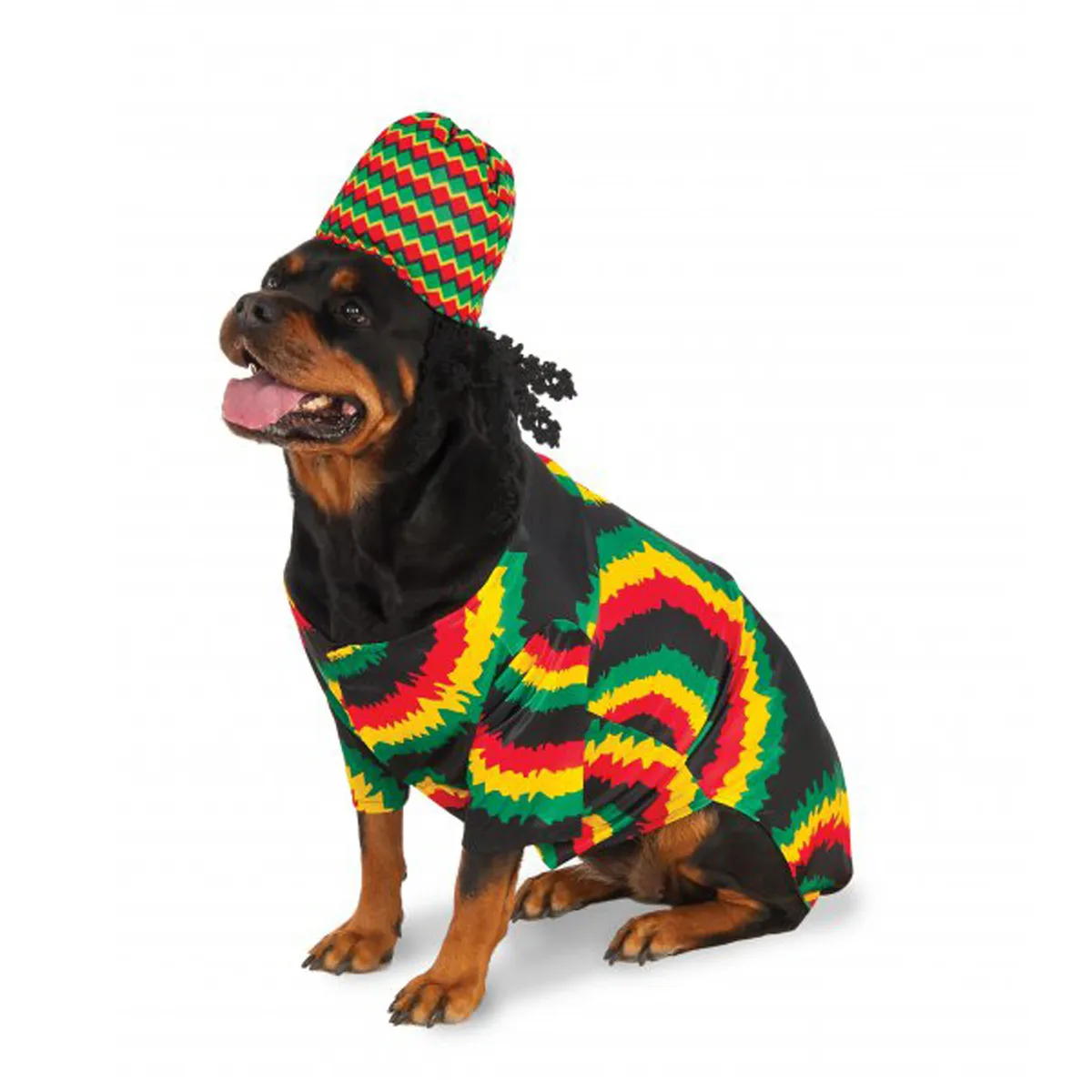 Big Dog Rasta Dog Costume BaxterBoo