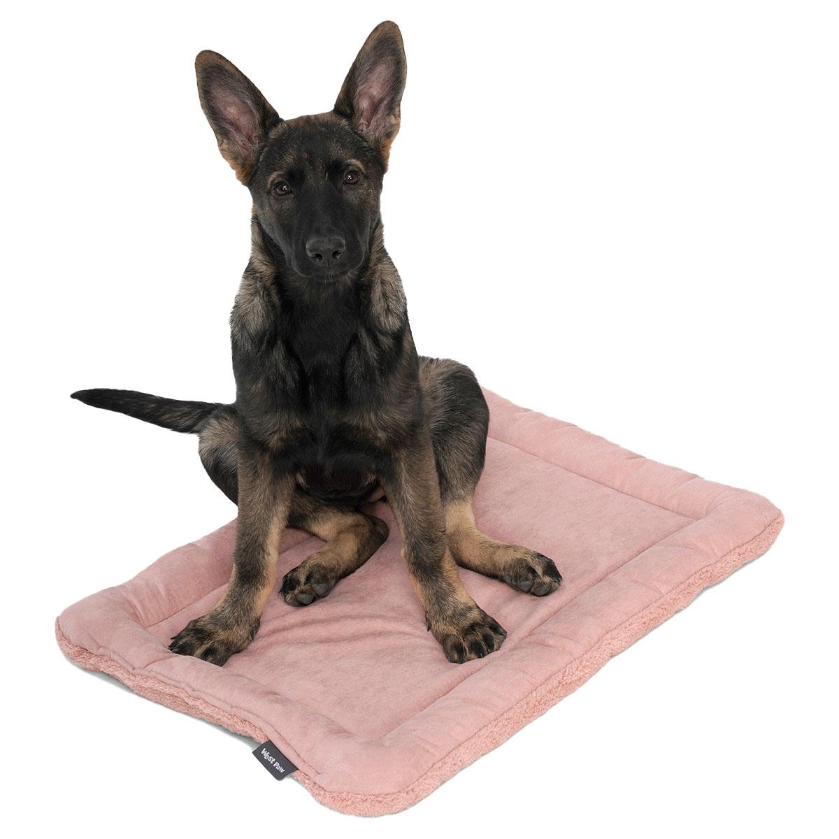 Big Sky Nap® Dog Mat | Dog Sleeping Mat | West Paw