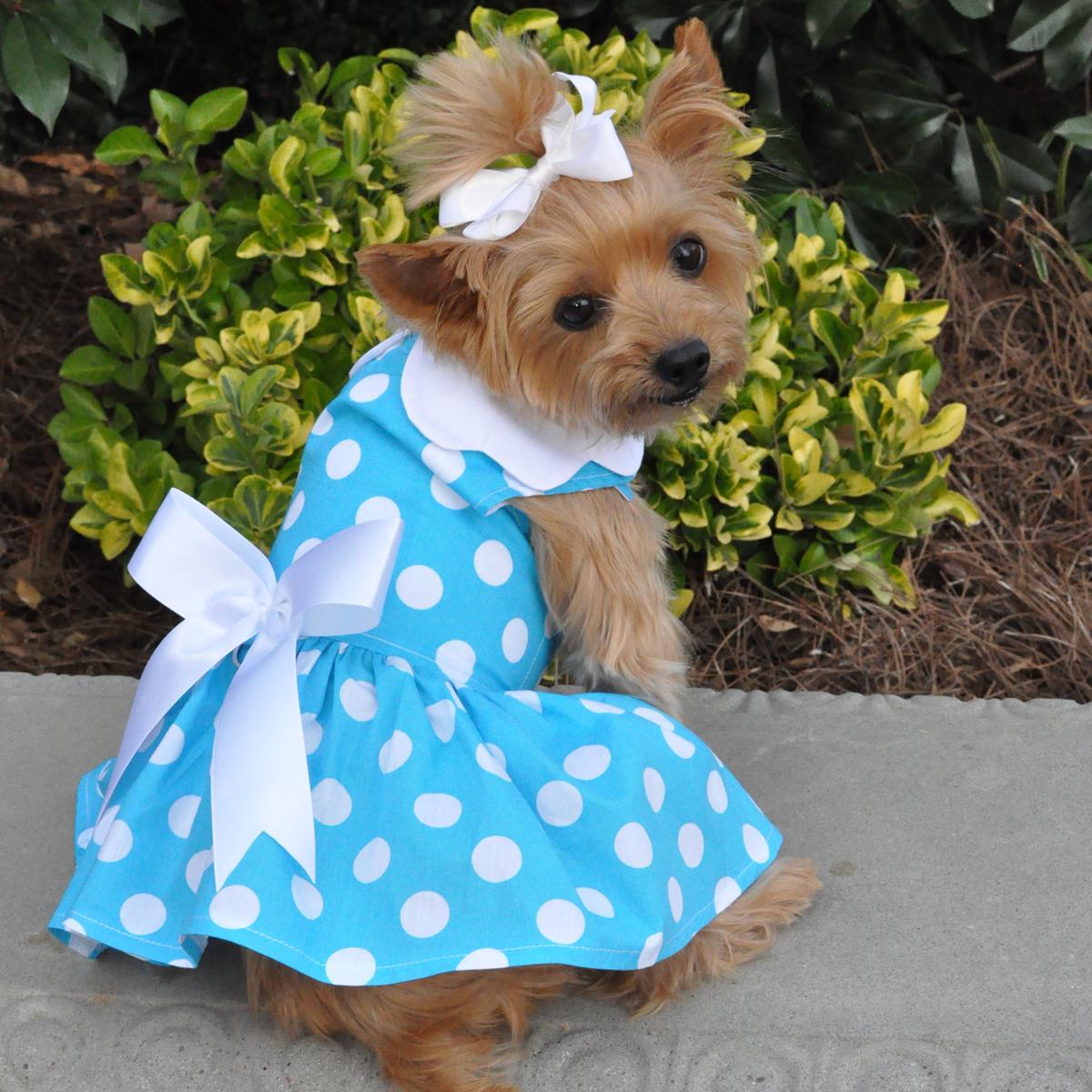 Blue Polka Dot Dog Dress with Matching Leash by Doggie Design