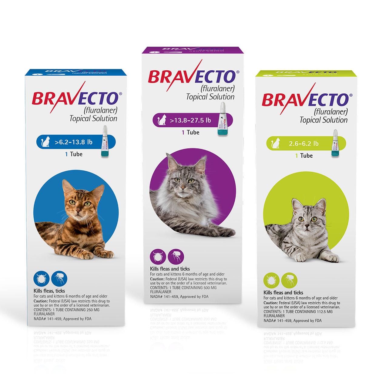 Bravecto TOPICAL for Cats (12-Weeks)