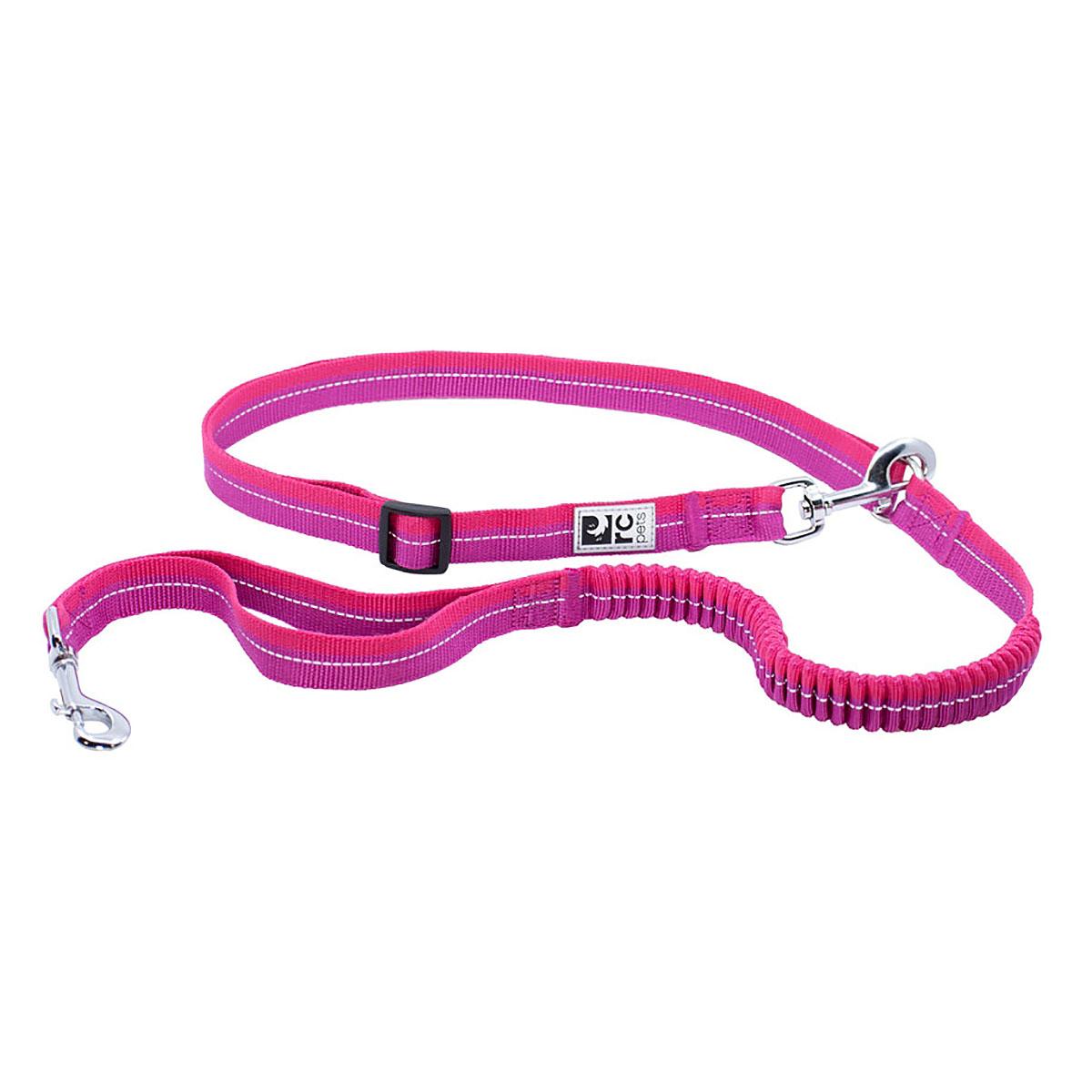 Bungee Active Dog Leash by RC Pets - Mulberry and Azalea