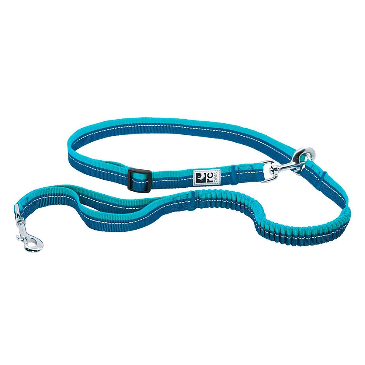 Bungee Active Dog Leash by RC Pets - Arctic Blue and Teal
