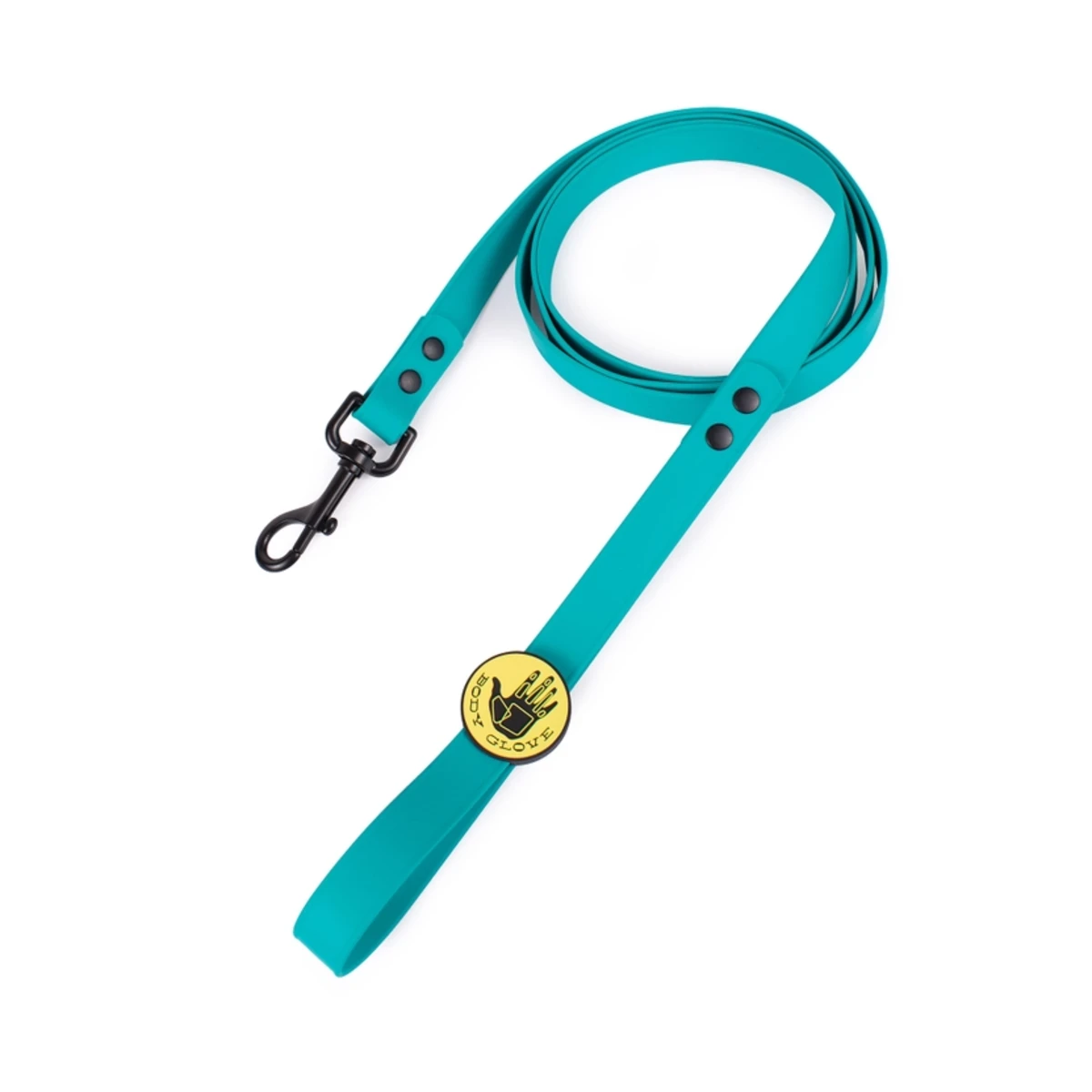 Carolina Pet Body Glove Biothane Waterproof Dog Leash - Teal