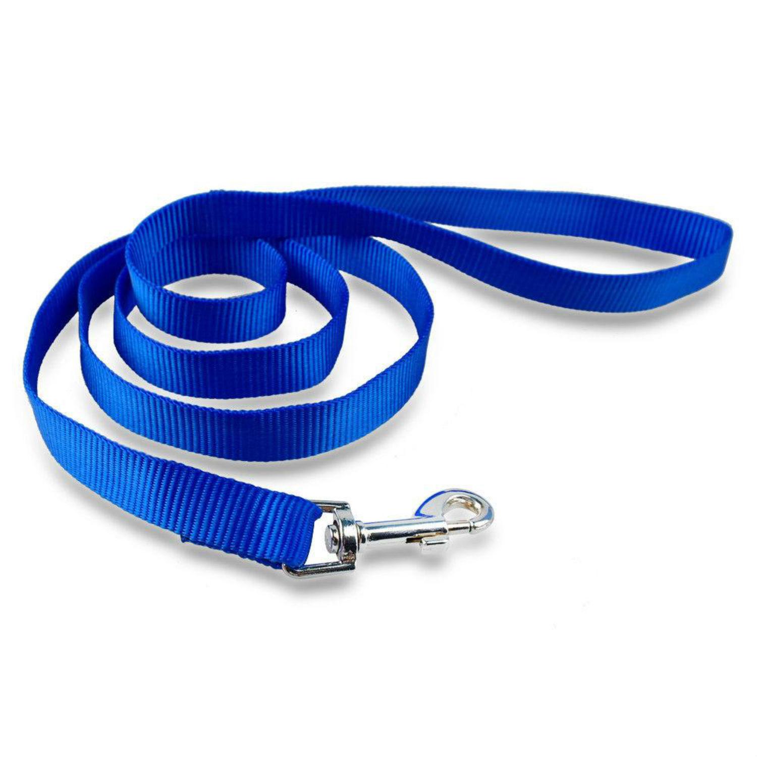 Casual Canine Nylon Dog Leash - Nautical Blue
